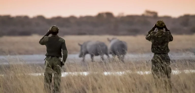Mozambican nationals caught hunting illegally in Kruger