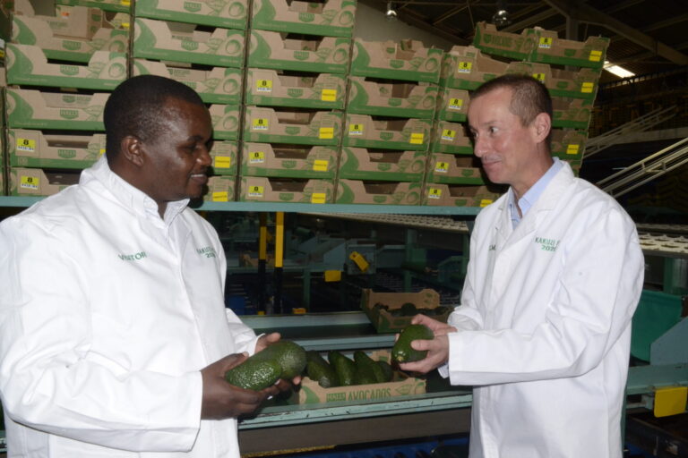 Kakuzi eyes fourth commercial Crop, AgTech to drive growth