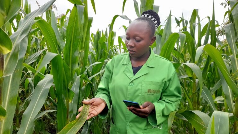 Farmers can now enjoy a Reliable and Accurate Weather Forecast Platform thanks to Kenyan Researchers – Kenya Agricultural and Livestock Research Organization
