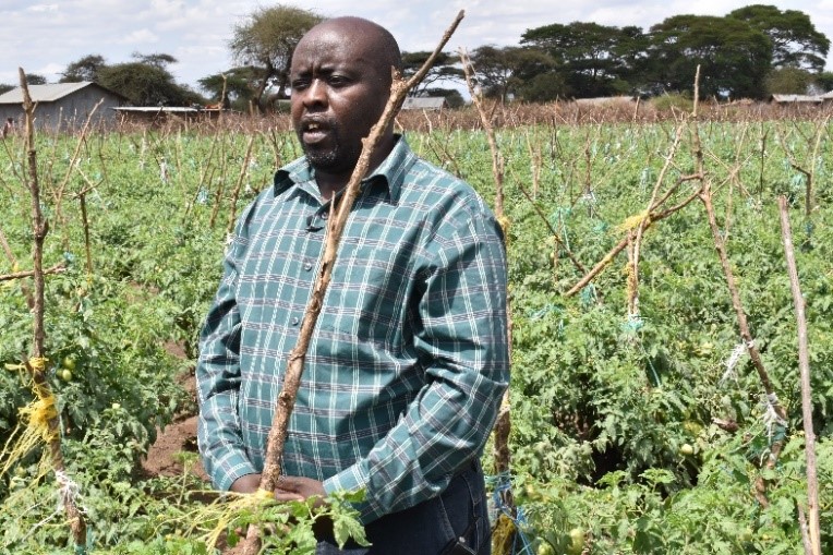 Empowering tomato farmers in Kajiado KAJIADO County for a sustainable future – Kenya Agricultural and Livestock Research Organization