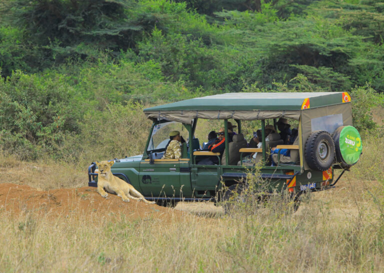 Kenya eyes 12.5pc tourism growth from Europe