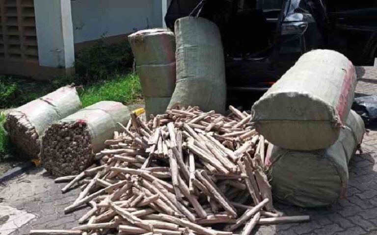Police nab bhang worth Sh13.7 million