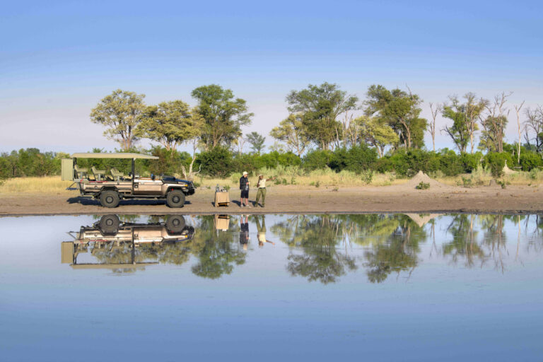First Time Safari in Botswana