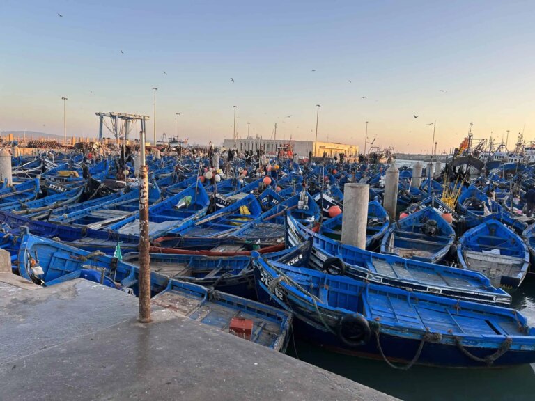 Living The Digital Nomad Life In Essaouira, Morocco