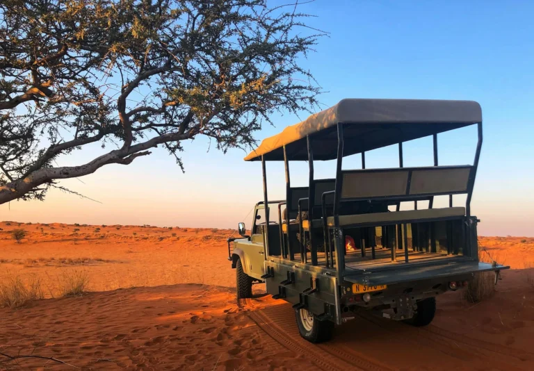 Where chill air meets golden dunes