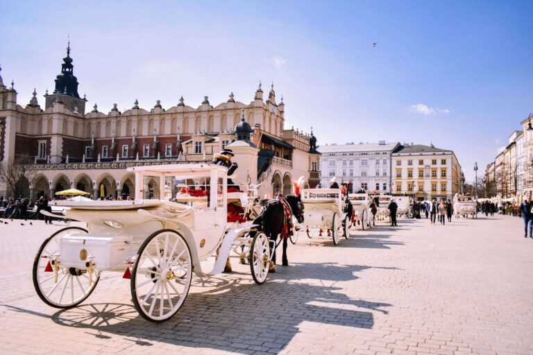 Hidden Gems for Remote Work in Eastern Europe