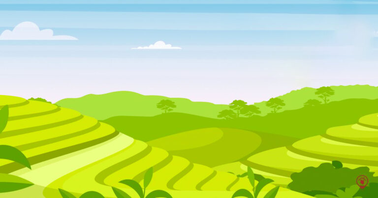 Kiambu Neighbourhood Guide | BuyRentKenya
