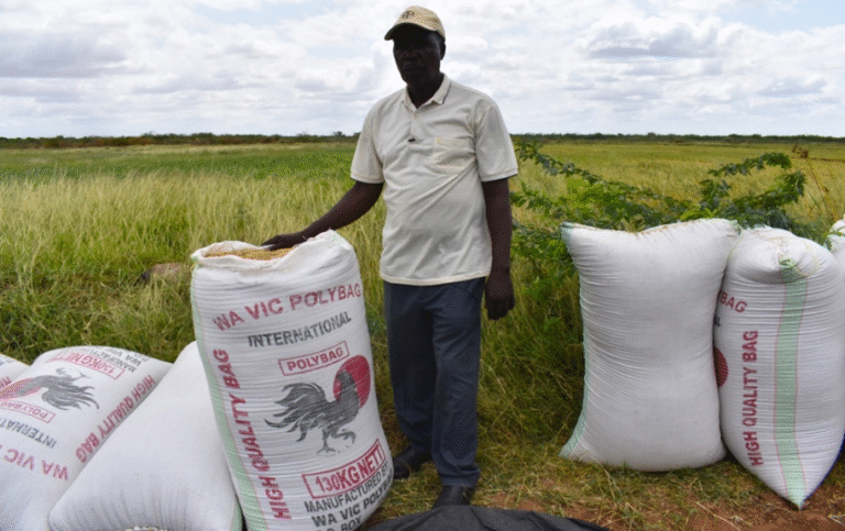 Transforming Kenya’s Agriculture one grain at a time – Kenya Agricultural and Livestock Research Organization