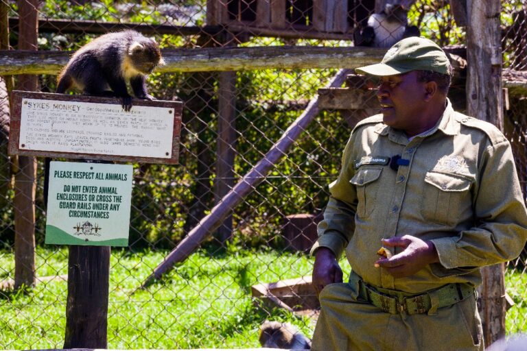 Travelers pick Mt Kenya Wildlife Conservancy as top destination
