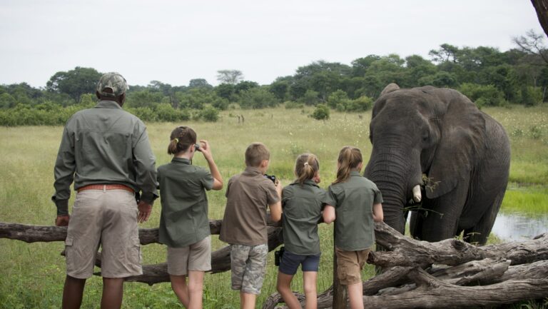 Family-Focused Safaris and the Ngwana Club