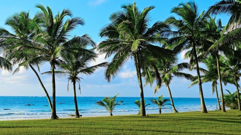 Diani, Kenya Digital Nomad Guide – Work and Travel in 2025