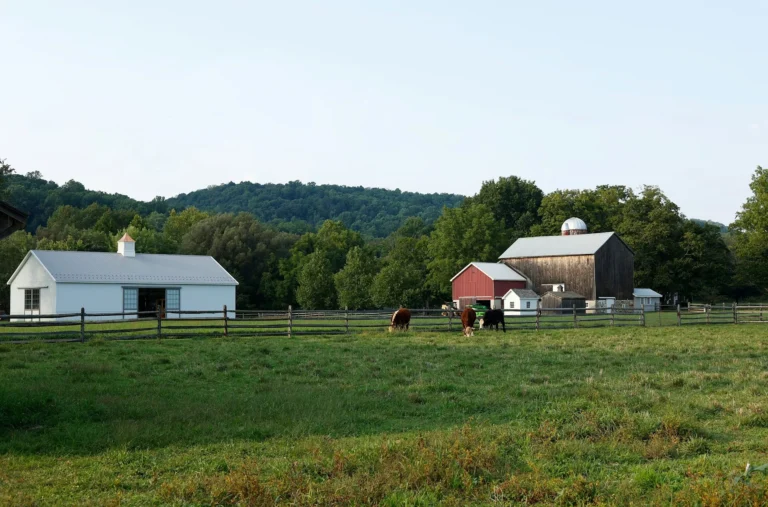 Top heritage farm stays for a weekend in bloom