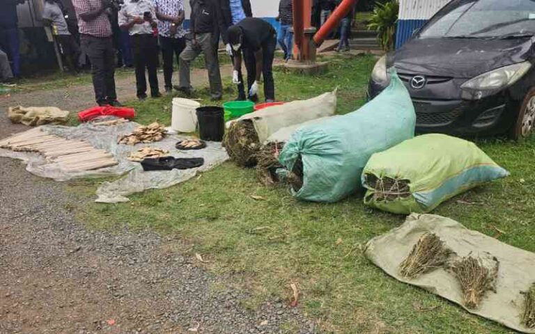 NACADA seize Sh5 million bhang in Homa Bay student hostel raid